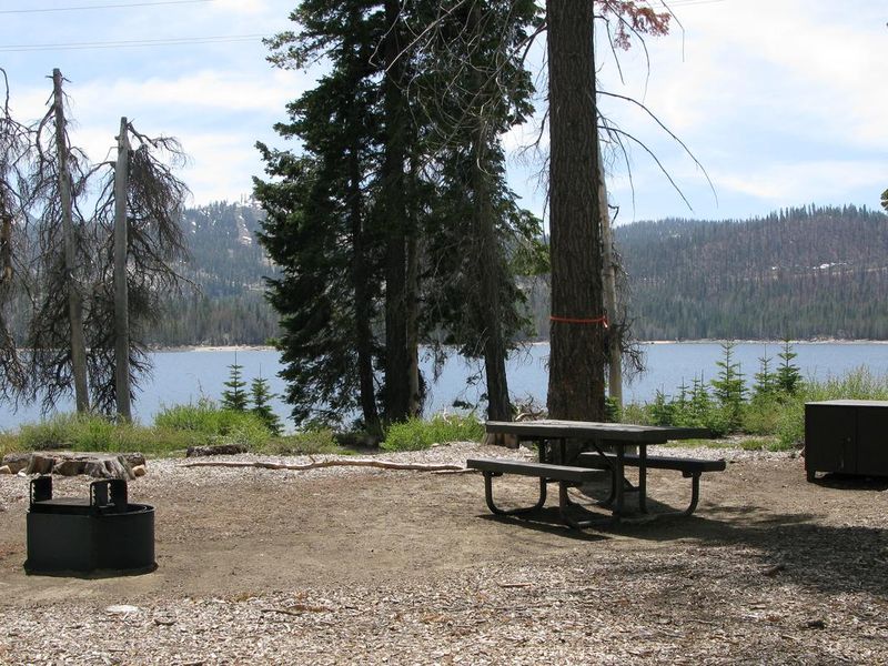 Camping site with picnic table, fire pit and bear box.