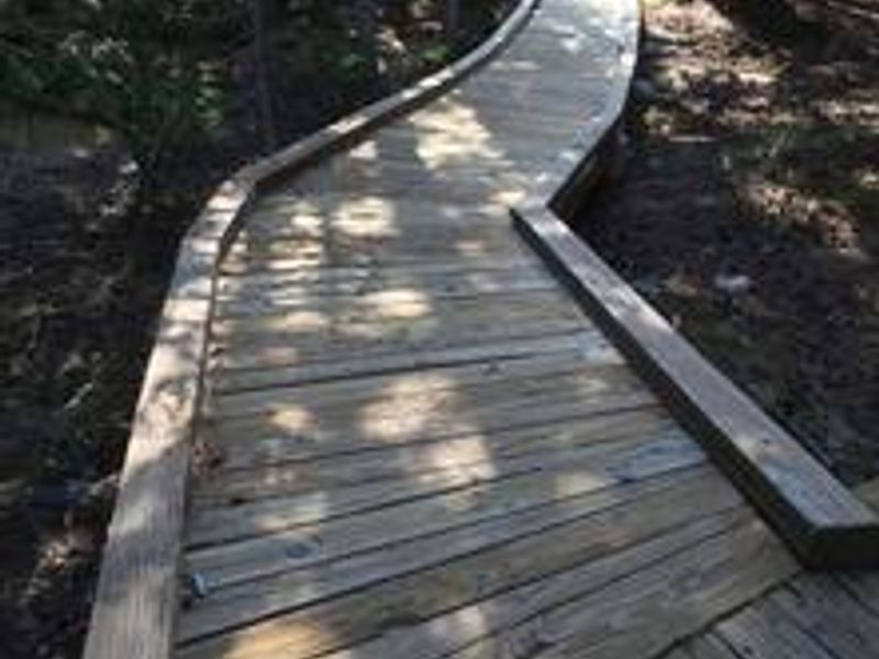 Boardwalk hike at top of the Wheeler Peak Scenic Drive