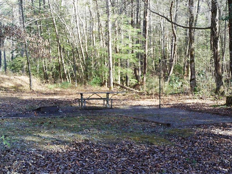 Here is site #4 not on the creek, but a great place to stay.