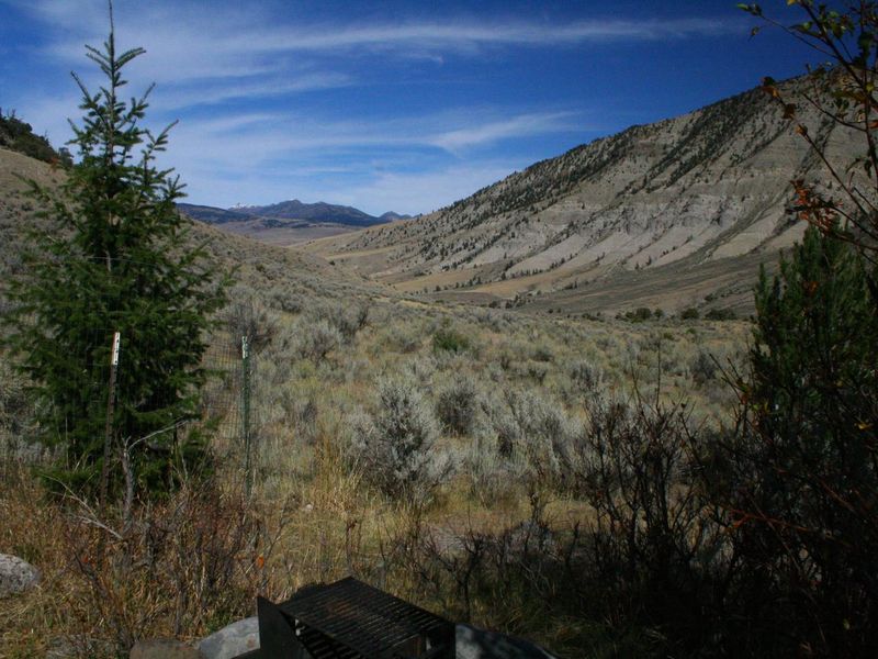 Mammoth Campsite #44, looking north
