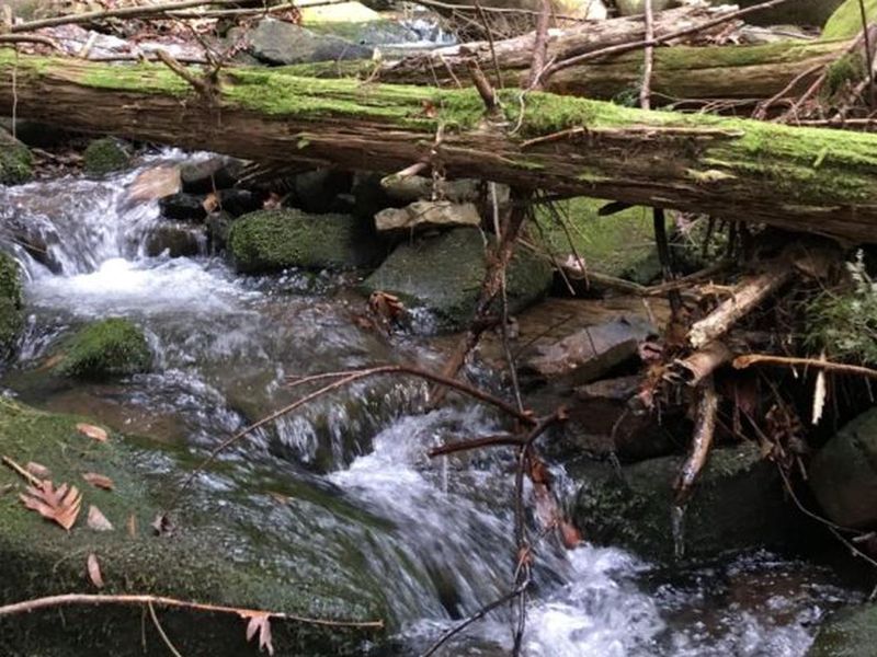 private, small campground