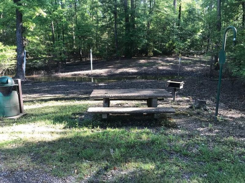 Campsite #11. Tent site with the following amenities: fire-pit, grill, picnic table, lantern pole, trash can.