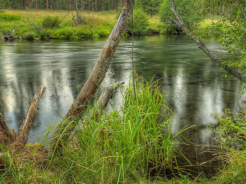 Allingham Campground