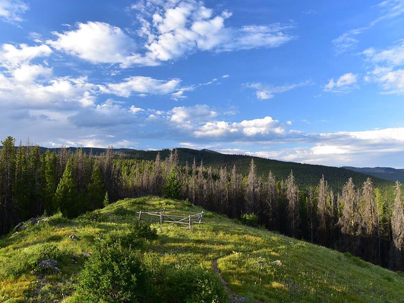 view from McCart Lookout catwalk