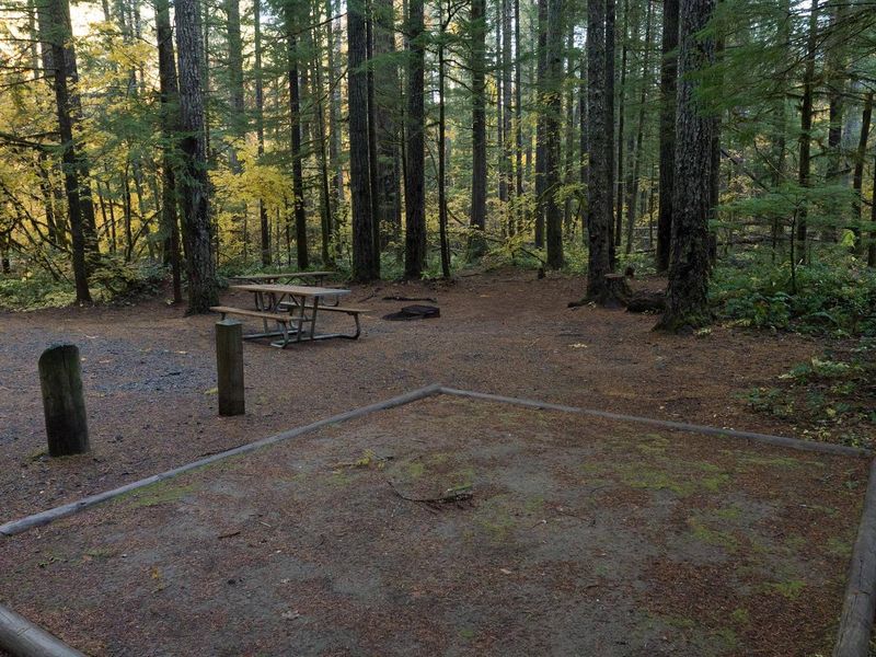 Panther Creek campsite