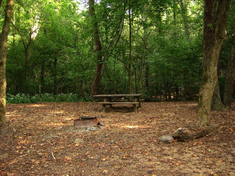 Campsite at Glade Creek Campground