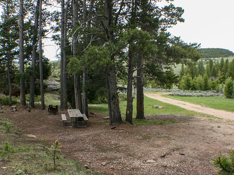 Grave Springs campsite