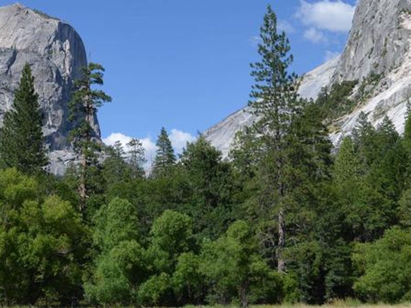 Yosemite National Park