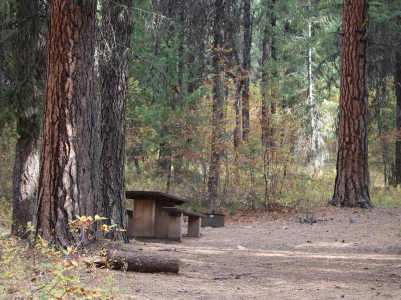 Camp site at Park Creek