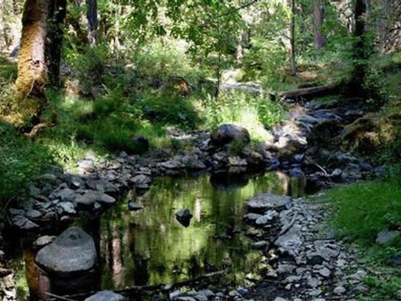 Beaver creek running through Beaver Sulphur campground. 
