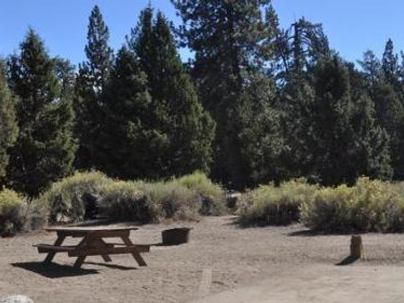 Serrano Campground picnic table