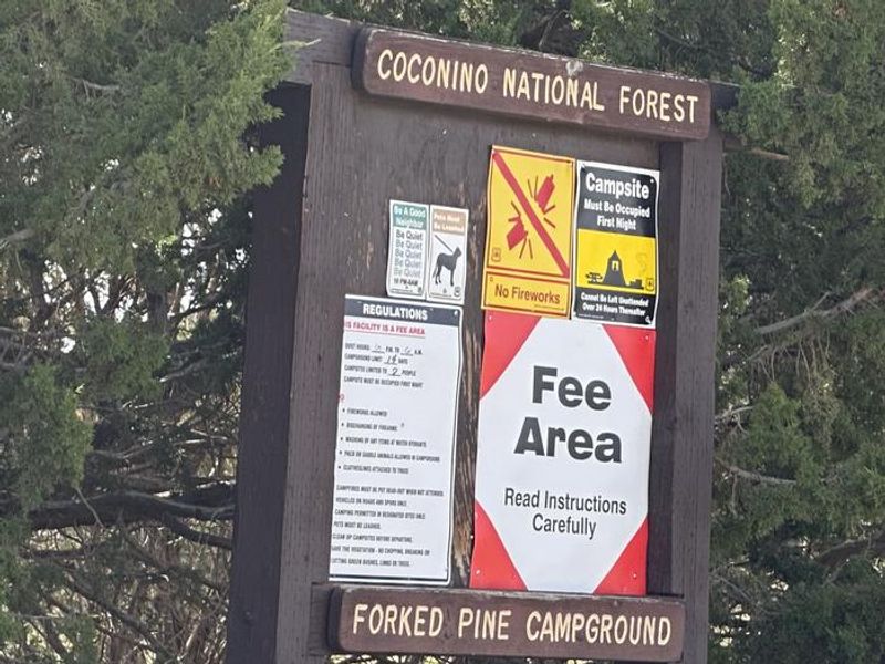 Forked Pine Campground Sign August 2023