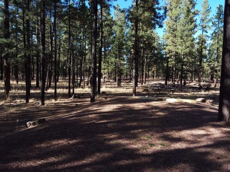 HOYER Campground Shaded Standard Site