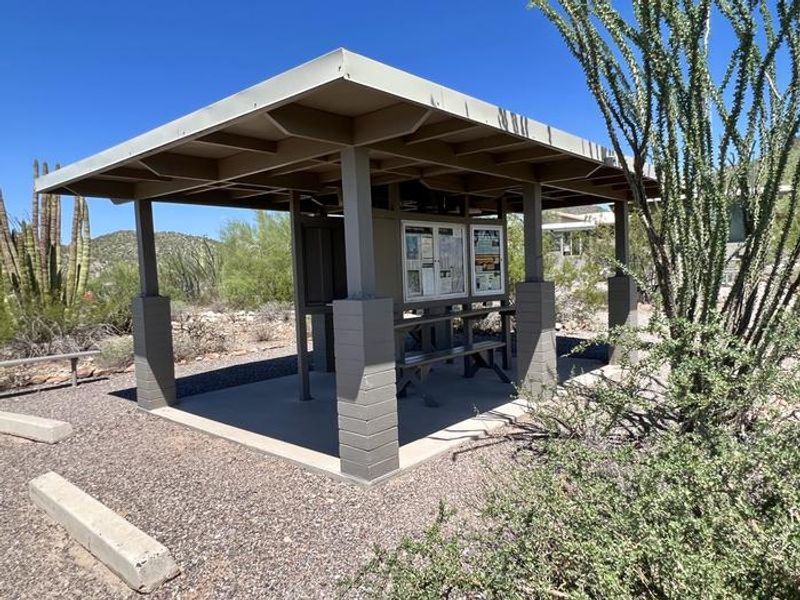The shade ramada located near the entrance kiosk features wall outlets, information, and a Free Little Library.  The ocotillos nearby are a beautiful sight to see when in bloom.