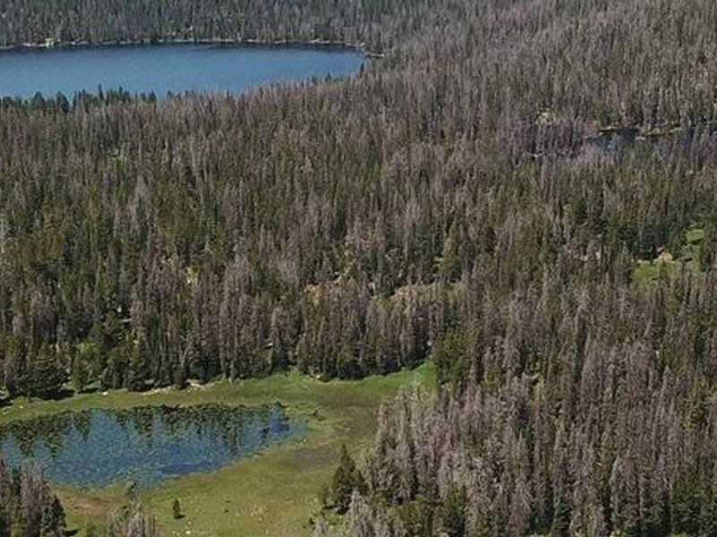 Lilly Lake Campground