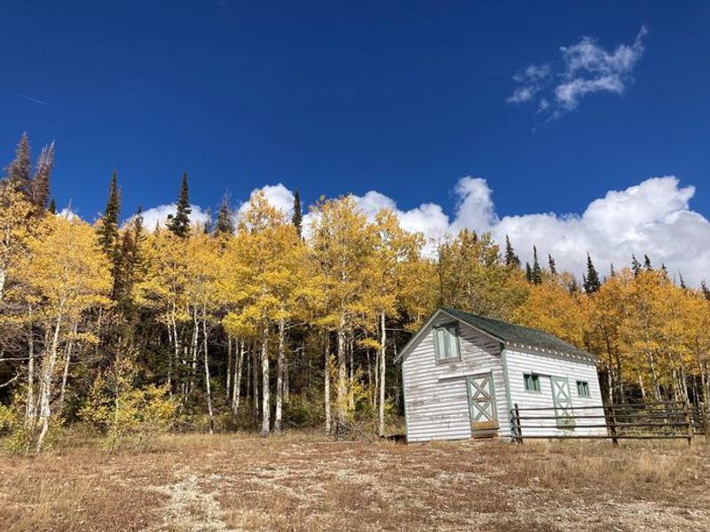 SEELY CREEK GUARD STATION BARN AND TREELINE