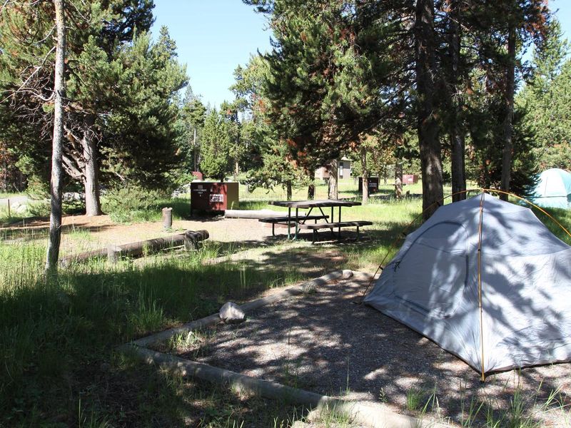 Indian Creek Campground site #6