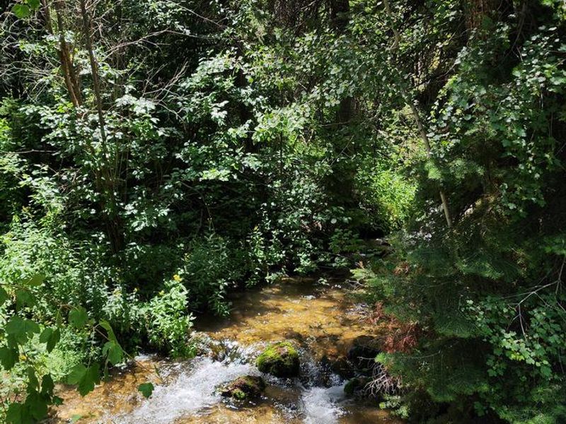 The creek at Malad Summit