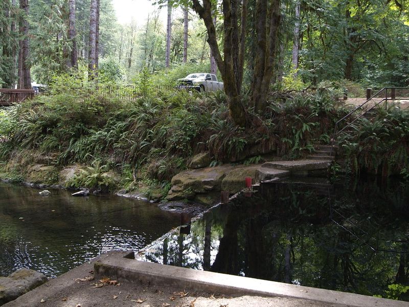 Top of Whittaker Creek dam. 