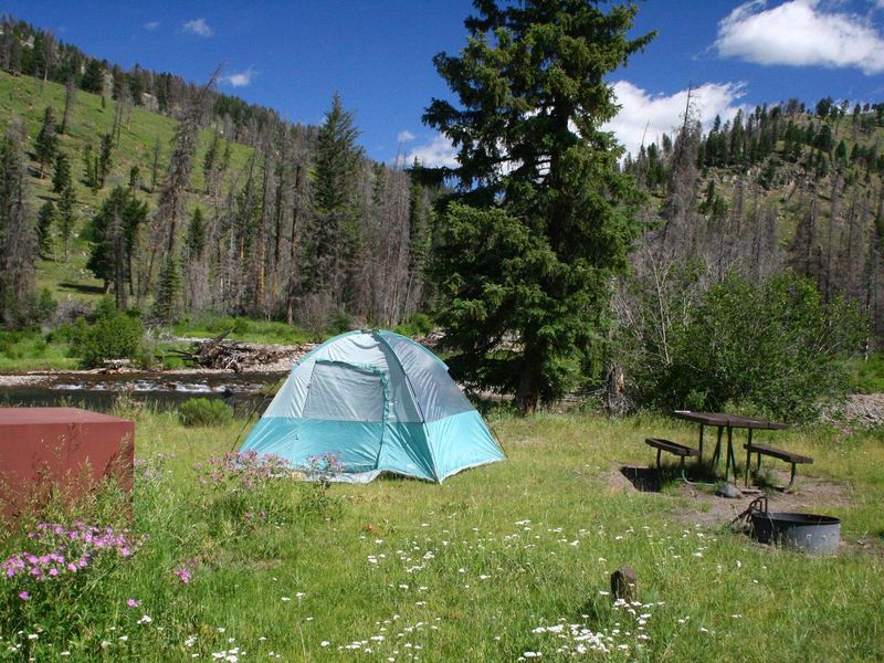 Slough Creek Campground Site #5