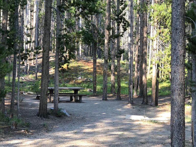 campsite in wooded area