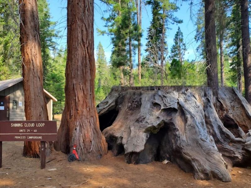 Shining Cloud Loop at Princess Campground