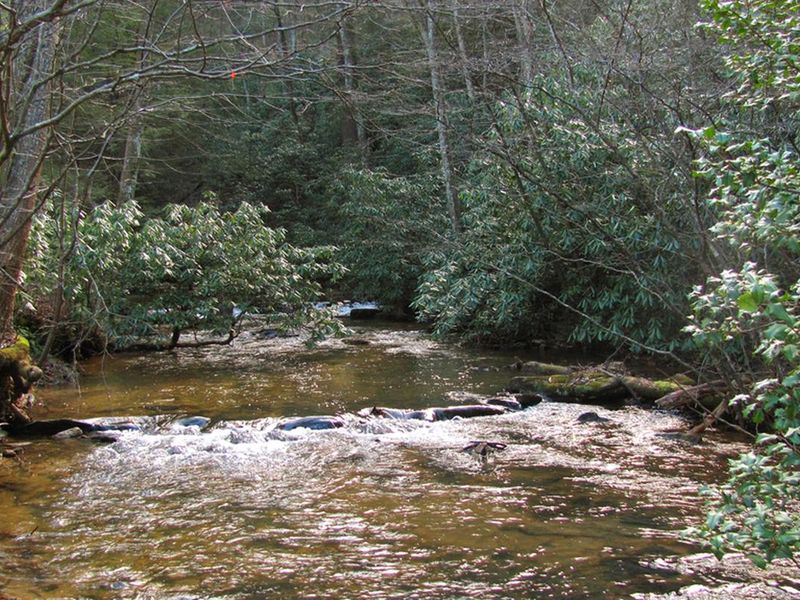 Rock Creek Which Flows Next to Campground.