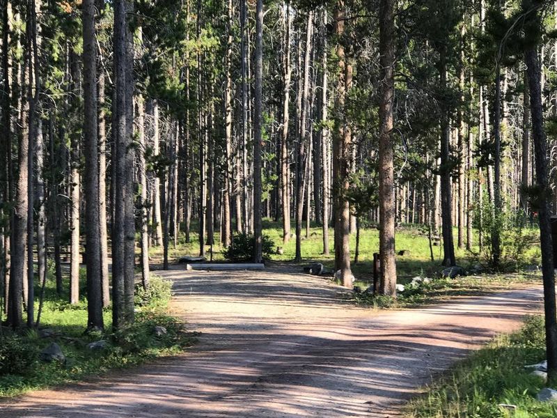 Campsite in wooded area