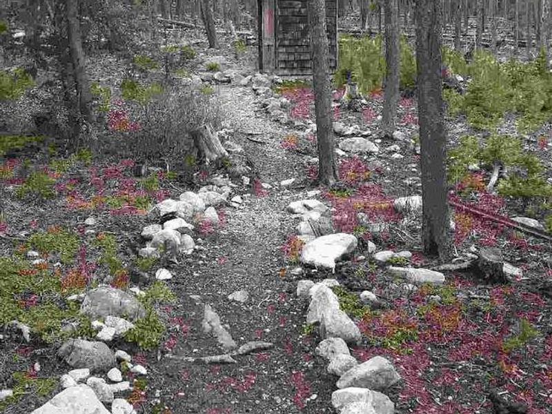 Outhouse near cabin