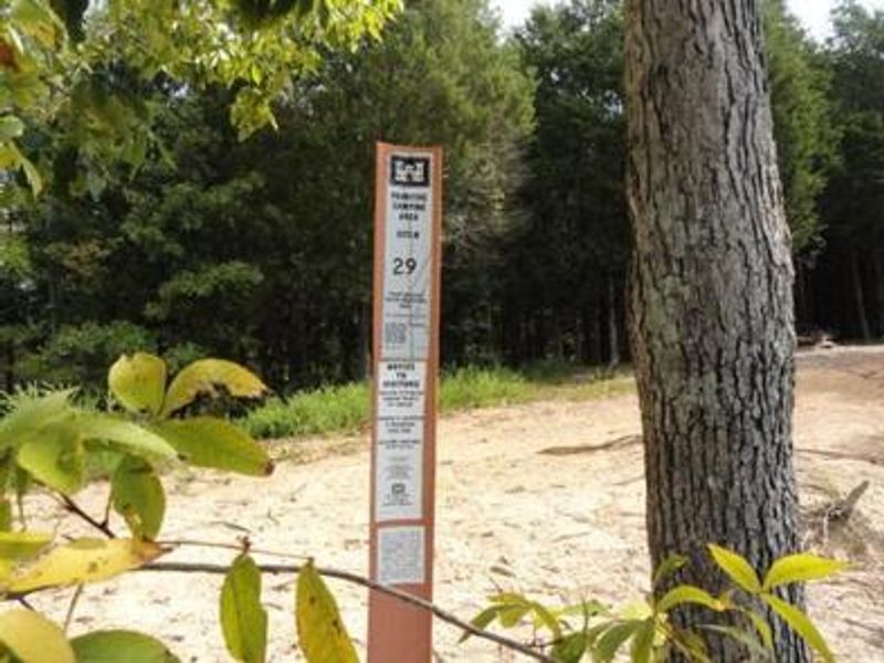 DALE HOLLOW LAKE - PRIMITIVE CAMPING