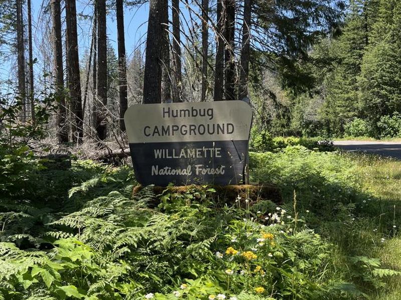 HUMBUG CAMPGROUND