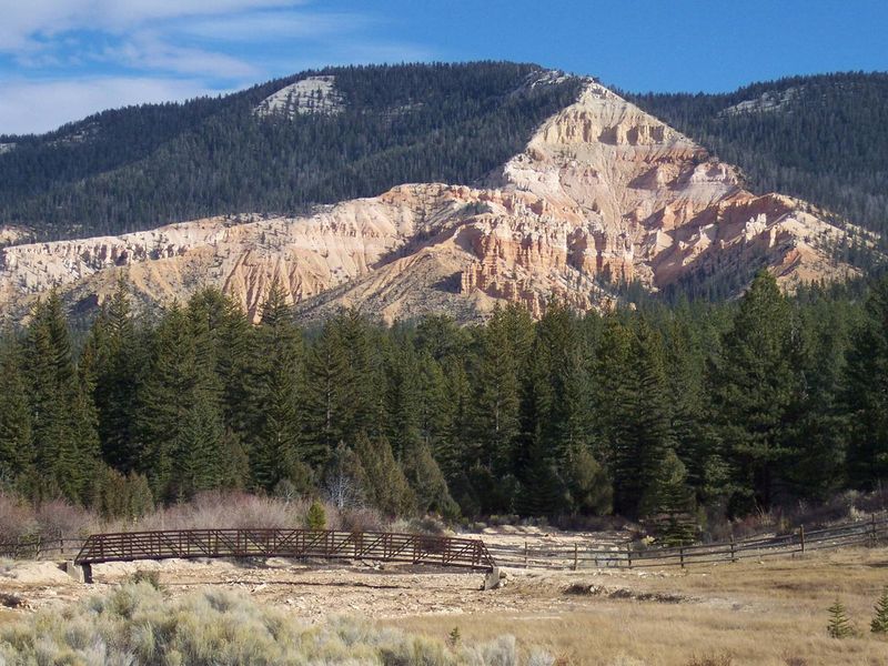 Food Bridge from Campground to Lake