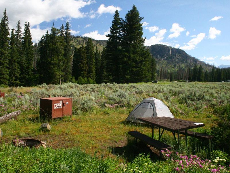 Slough Creek Campground Site #15