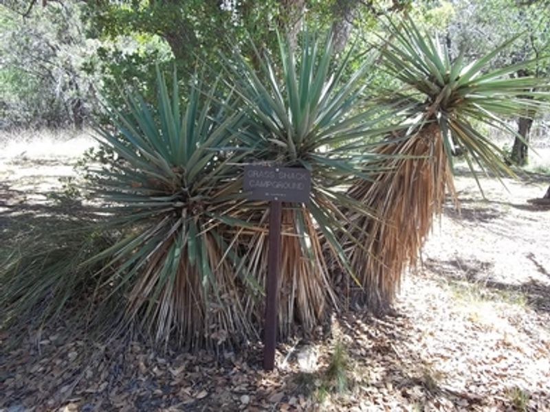 Grass Shack is fairly flat and setting up camp is moderately easy in this area
