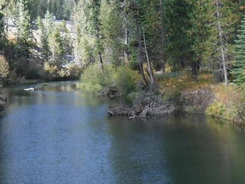 South Fork Yuba River