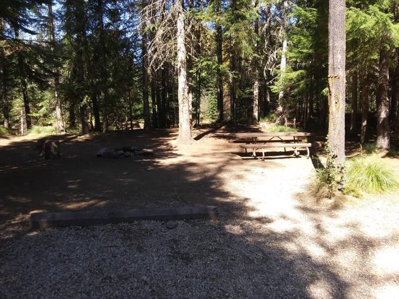 Berlin Flats Campsite