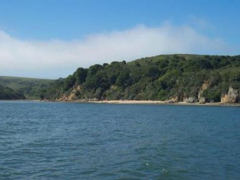 Tomales Bay 