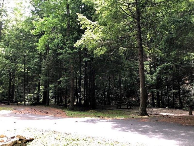 Views of Hurricane Campground 