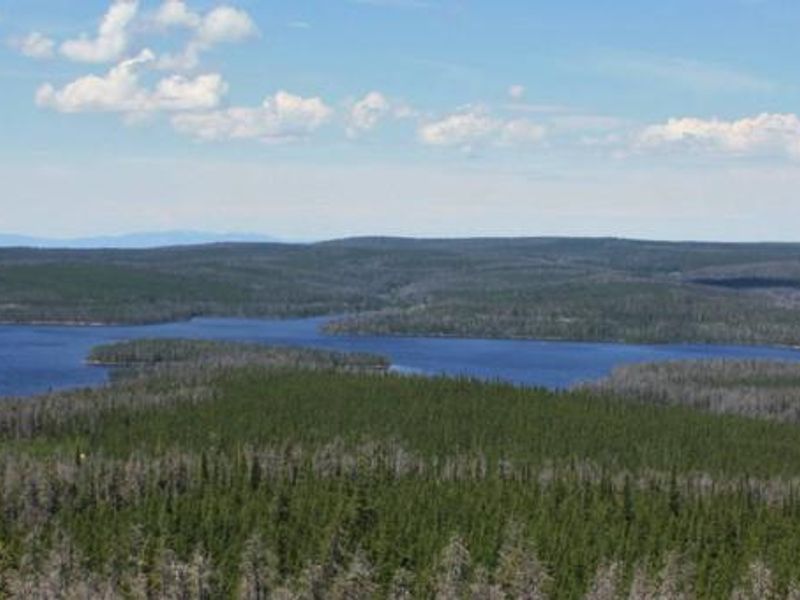 Rob Roy Reservoir, Medicine Bow-Routt National Forest