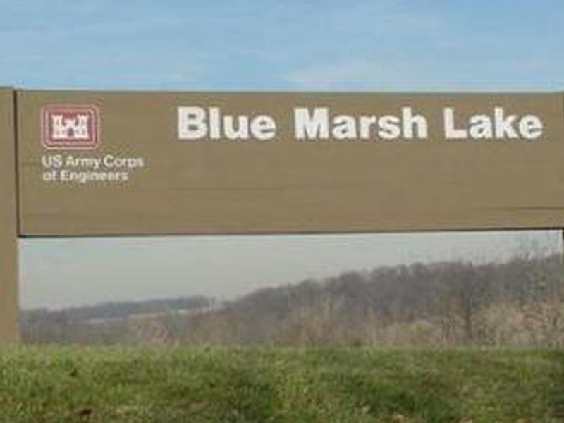 Blue Marsh Lake (Dry Brooks Day Use Area)