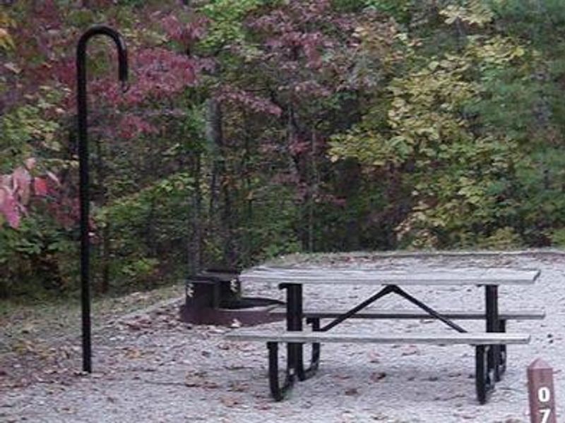 Typical campsite with picnic table, fire ring, lantern hook and tent pad.