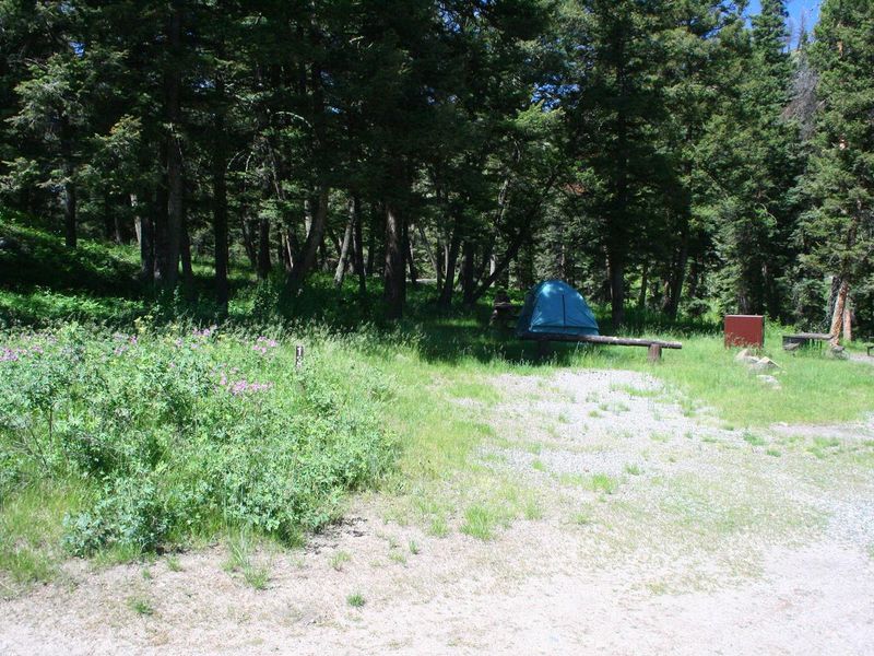 Slough Creek Campground Site #13