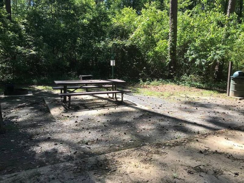 Shaded Class A Campsite #15. RV pad, water, and 20/30/50 AMP electric hook-ups as well as basic campsite amenities including a picnic table, lantern post, fire ring, trash can and grill.
