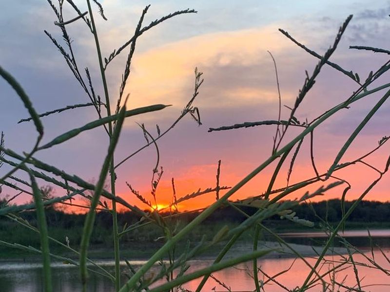 view of the sunset by site 31 