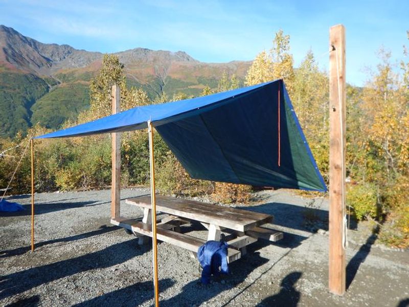 Central camp area with tarp hung from tarp poles. 