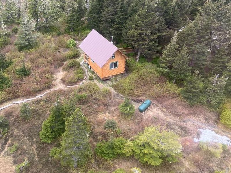 John Muir Cabin from above