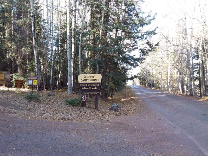 Cutthroat Campground 