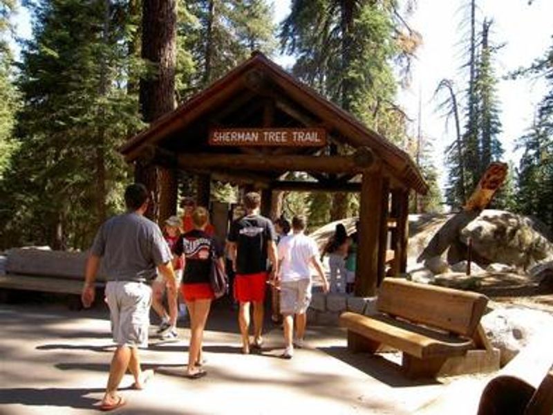 Hikers walking through a rustic wooden shelter to access the trail to the world's largest tree