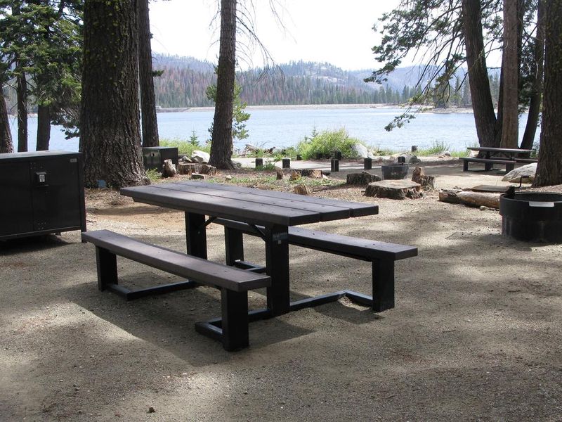 Camp site with picnic table, fire pit and bear box