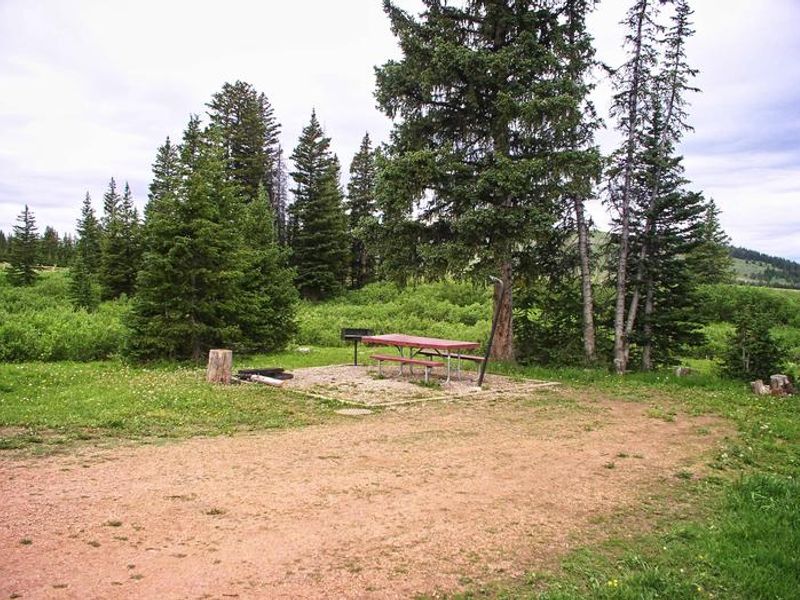Bald Mountain Site 4